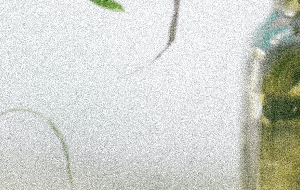 Foto: Pexels